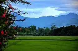 Barangay Camangcamang with Mabinay Mountains seen in the distance