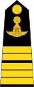 Colonel