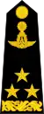 Lieutenant General