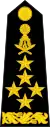 General of the army