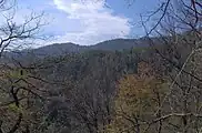 View of Camel Hump Ridge from the Snake Den Ridge Trail