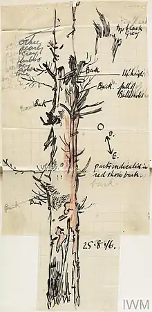 Sketch of a fourteen-feet-high camouflage tree with annotations pointing out "bark" and dated 25.8.1916