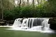 A waterfall along a rushing stream surrounded by forest on either side.