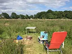 Knepp Wildland camping field