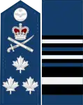 Dress uniform tunic - shoulder and sleeve