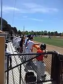 Bullpen at MIT Ballpark