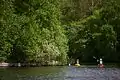 Canoeist in the Weerribben