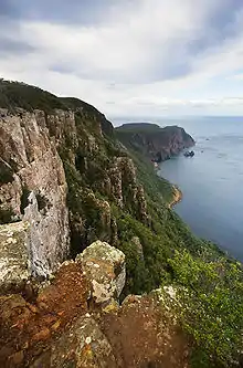 Dolerite columns of Cape Raoul