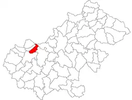 Location in Satu Mare County