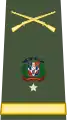 Brigadier