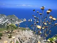 View from Monte Solaro towards the Faraglioni