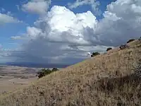 The grass-covered outer slope of the cinder cone.