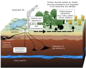 Sequestering carbon from the atmosphere