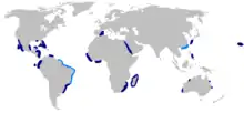 Bignose shark geographic range