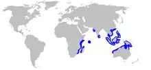 Blackspot shark geographic range