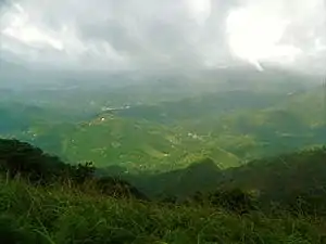 Southern Western Ghats, Near Thekkady in Kerala