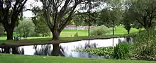 A pond in Carel Venter Park