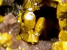 Image 7Carnotite (yellow) is a radioactive uranium-bearing mineral. (from Mineral)