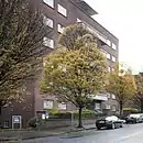 Carpinus betulus 'Fastigiata' in Dublin, Ireland where it is a common street tree