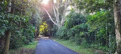 Puerto Rico Highway 677 in Espinosa