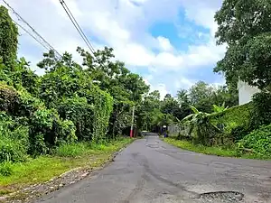 Western terminus at PR-677 and PR-678 intersection in Maricao, Vega Alta, looking east