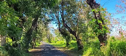 Puerto Rico Highway 854 in Media Luna