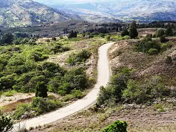 Road in rural area