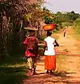 Carrying fruit in Basankusu.