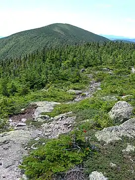 Carter Dome seen from Mt. Hight