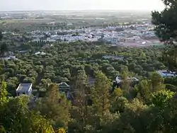 Panorama of Casarano