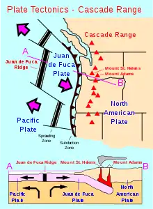 Image 16Image of the Juan de Fuca Plate that produced the magnitude 8.7–9.2 Cascadia earthquake in 1700. (from Geology of the Pacific Northwest)