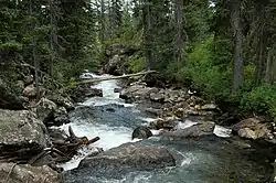 Cascade Creek flows towards Jenny Lake