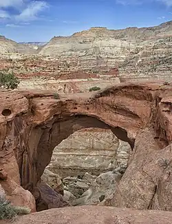 View of the arch