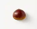 Chestnut fruit