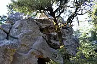 Rock formation in the park