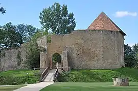 Ruins of the chateau