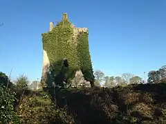 Ruined castle on Knockma