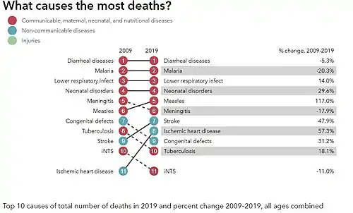 The 10 top causes of deaths in Niger.