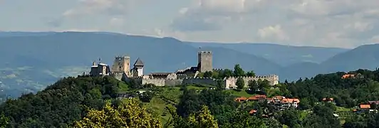 Celje Castle