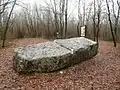 Dolmen also wrongly said as a "sacrifice table", is located in the Forêt de Boixe