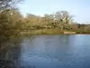 Southampton Common