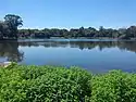 Cemetery Lake (Jo Pond), June 2016