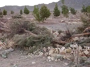 Broken cinder blocks and felled palm trees