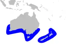 Andrew's beaked whale range