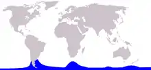 Hourglass dolphin range