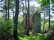 Archaeological site "La Cetate"