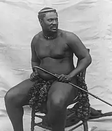 Image 43King Cetshwayo (ca. 1875) (from History of South Africa)