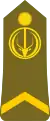 Sergent(Chadian Ground Forces)