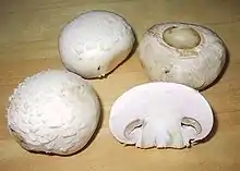 Image 16Agaricus bisporus, one of the most widely cultivated and consumed mushrooms (from Mushroom)