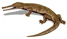 Champsosaurus natator